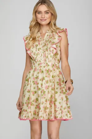 Clearly Smitten Dress