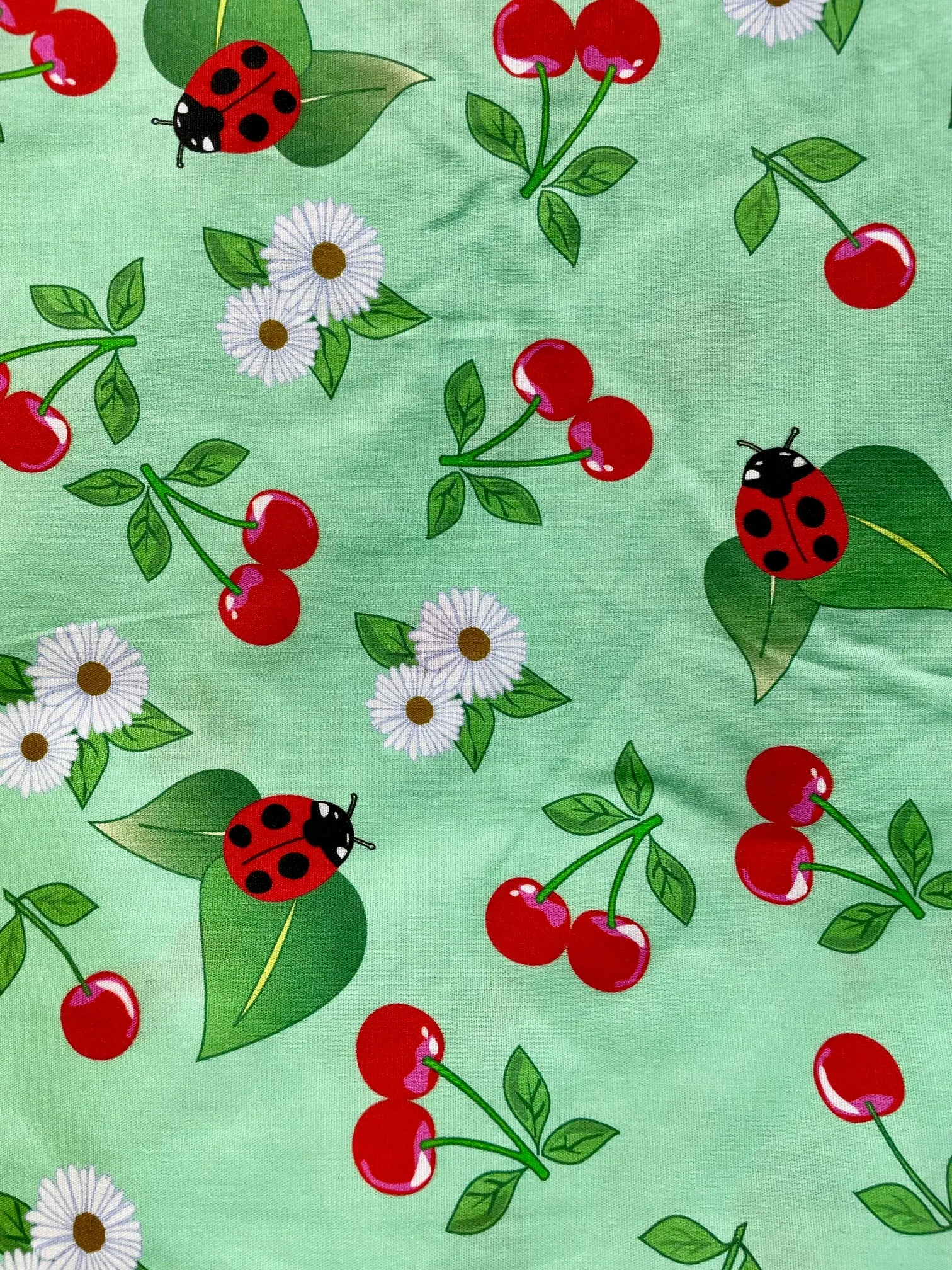 Ladybug Lady luck Dress