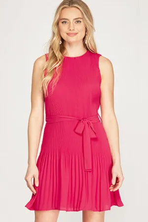 Pleats Perfect Dress in Raspberry